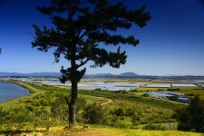 베스트갤러리 - 가을들녁