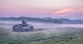 베스트갤러리 - 안성목장