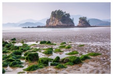 베스트갤러리 - 고흥바닷가