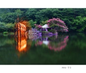 베스트갤러리 - 일일레져타운