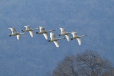 베스트갤러리 - 경안천에서
