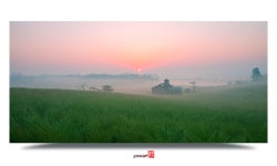 베스트갤러리 - 목장의 일출......