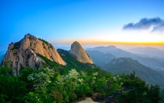 베스트갤러리 - 실록