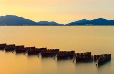 베스트갤러리 - 죽방