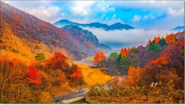 베스트갤러리 - 떠나가는 가을