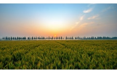 베스트갤러리 - 죽산(김제)