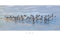 베스트갤러리 - 햇살이 퍼질때...