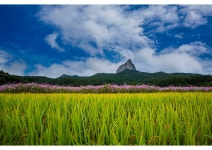 베스트갤러리 - 반월제의가을