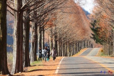 베스트갤러리 - 모래제 길