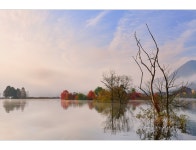 베스트갤러리 - 생태공원