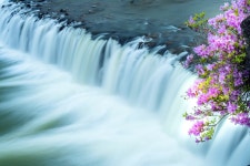 베스트갤러리 - 직탕폭포