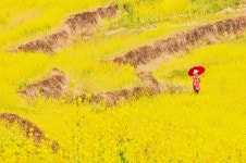 베스트갤러리 - 두모마을~