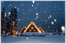 베스트갤러리 - 동화의나라