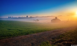 베스트갤러리 - 안성목장