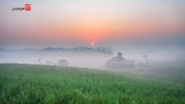 베스트갤러리 - 목장의 아침......