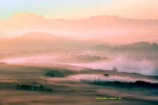 베스트갤러리 - 들녘의 아침 2