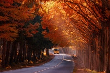 베스트갤러리 - 메타길