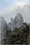 베스트갤러리 - 황산