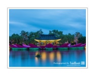 베스트갤러리 - 궁남지