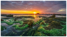 베스트갤러리 - 아름다운 바다_2021