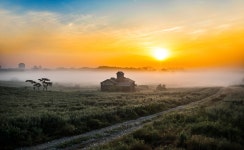 베스트갤러리 - 목장의 새벽