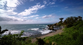 베스트갤러리 - 작은 파도가 일던 바닷가의 풍경