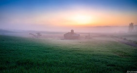 베스트갤러리 - 안성목장