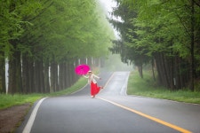 베스트갤러리 - 안개속에서