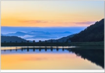 베스트갤러리 - 여 명