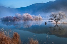 베스트갤러리 - 생태공원