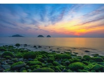 베스트갤러리 - 해뜨는 무슬목