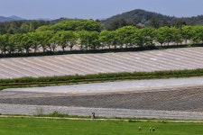 베스트갤러리 - 고창 학원농장