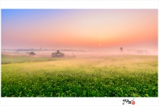 베스트갤러리 - 목장의 아침