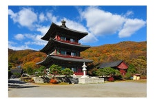 베스트갤러리 - 만추의 보탑사..