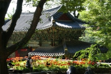 베스트갤러리 - 길상사 꽃무릇