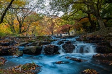 베스트갤러리 - 선운사 도솔천