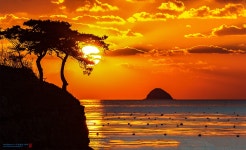 베스트갤러리 - 솔섬