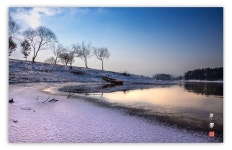 베스트갤러리 - 조용한 아침