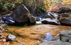 베스트갤러리 - 계곡물돌이