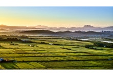 베스트갤러리 - 가을아침 들녘에서