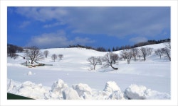 베스트갤러리 - 대관령