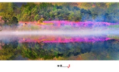 베스트갤러리 - 산골 소류지