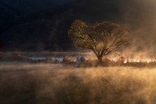 베스트갤러리 - 물안개피는 주천