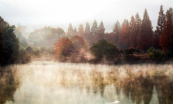 베스트갤러리 - 오봉제의 가을