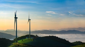 베스트갤러리 - 바람의 언덕