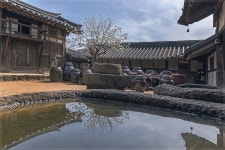 베스트갤러리 - 온조루의 봄