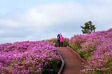 베스트갤러리 - 천상화원 가는 길
