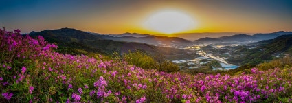 베스트갤러리 - 봉화산