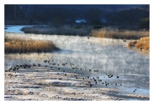 베스트갤러리 - 물안개피는황강