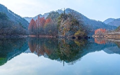 베스트갤러리 - 물통골